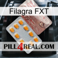 Filagra FXT new13